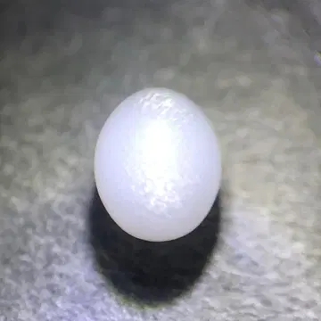 클램펄