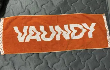 Vaundy 타월