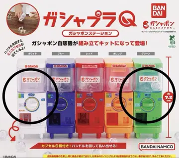 가샤프라 q 화이트 그린