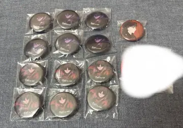 토오사카 린 캔뱃지 13점 fate stay night HF