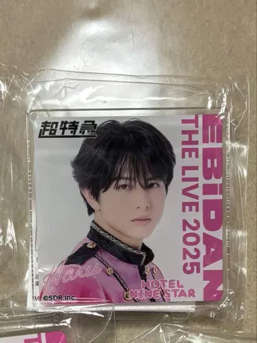 EBiDAN 초특급 하루 데코가챠 2025 아크릴 클립