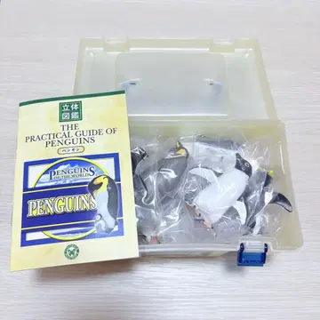 카롤라타 입체도감 펭귄 피규어 박스