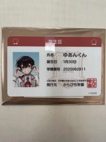 컬러풀 피치 학생증 유안