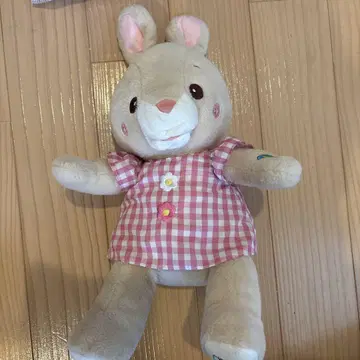 치어풀 토끼 인형 노래하는