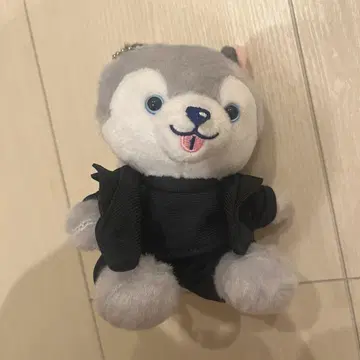마츠무라 호쿠토 봉제 인형 노킹 온 락드 도어