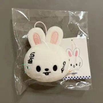Stray Kids KARMA popup 리비트 네임택