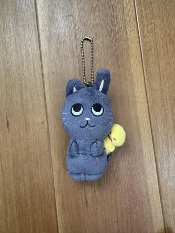 riize 원빈 냥독 인형 10cm 키링 MD