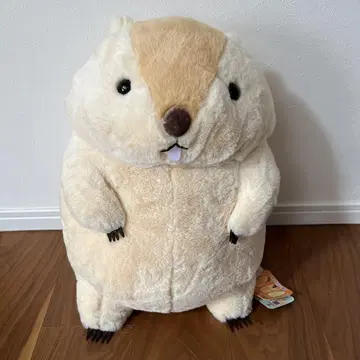 마모트의 마모토토 BIG 봉제 인형 45cm 마모토토