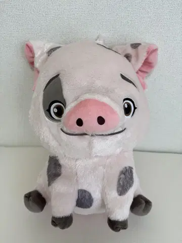봉제 인형