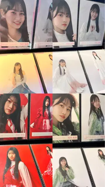 무카이 이토하 브로마이드 컴프 묶음 판매