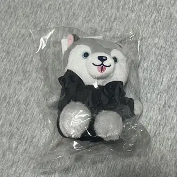 노킹 온 락드 도어 앉은 봉제 인형 토리이누 미개봉 마츠무라 호쿠토