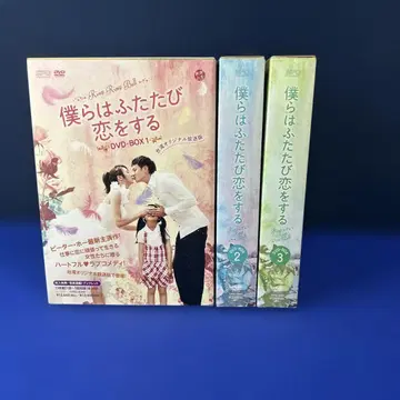 우리는 다시 사랑에 빠진다 대만 오리지널 방송판 DVD-BOX 전권
