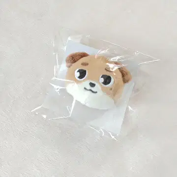 DAY6 도운 7