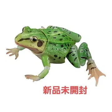 청개구리 네 발 그린 컬러 개체 생물대도감 어드밴스 미개봉 새상품