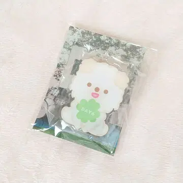 DAY6 도운 8