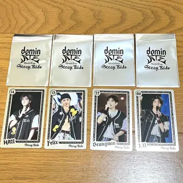 straykids 라이브 포토 카드