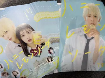 허니 레몬 소다 플라이어 20~30매 클리어 파일 라울 요시카와 아이