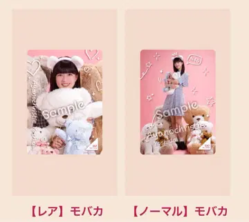 요시다 아야노 크리스티 노기box Teddy 모바카 노멀 레어