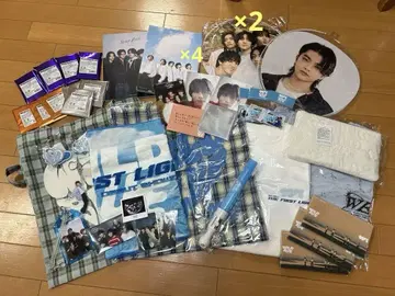 WILD BLUE 굿즈 묶음 판매