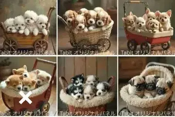 오더 접수 모두 함께 낮잠 C
