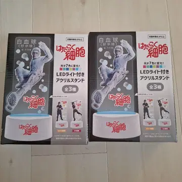 일하는 세포
