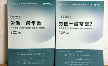 [ 미사용 ] 스태딩 노무 일반 상식 사회보험노무사 강좌