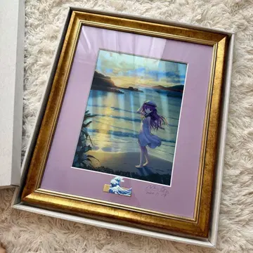 카토 우미 reflection art 리플렉션 아트 썸머 포켓츠