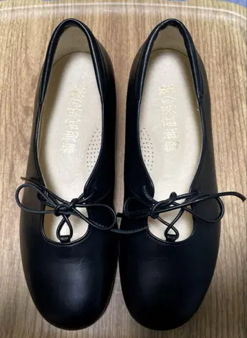 키쿠치 타케오의 신발 22cm