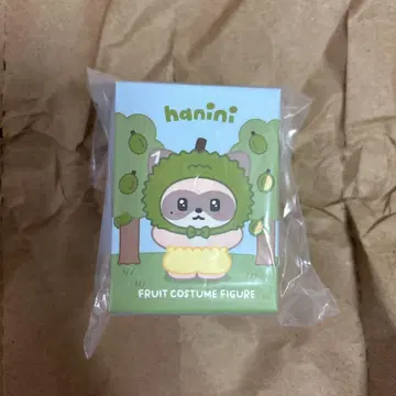 제베원 장하오 허니비 후르츠 코스튬 피규어