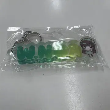iLiFE! 와카바노아 최애! 블록 키링