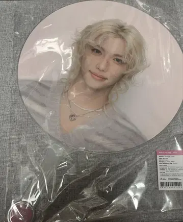 하자 있음 필릭스 팬미팅 부채
