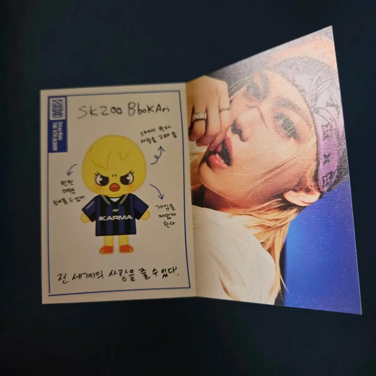 STRAY KIDS | 스트레이키즈 Stray Kids SKZ Karma SKZOO Profile Card