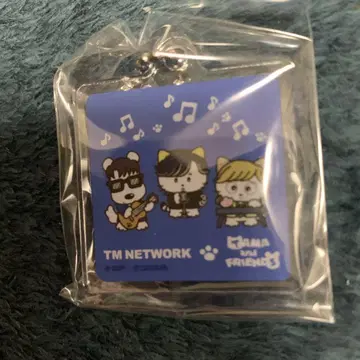 TM NETWORK 2025 IP TAMA&Friends 키링