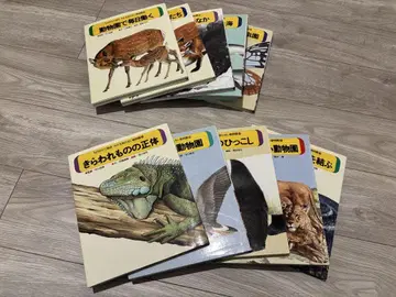 이야기 그림책 아무도 모르는 동물원 전 10권