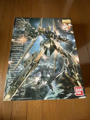 MG 1/100 백식 Ver.2.0