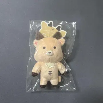 RIIZE 성찬 봉제 인형