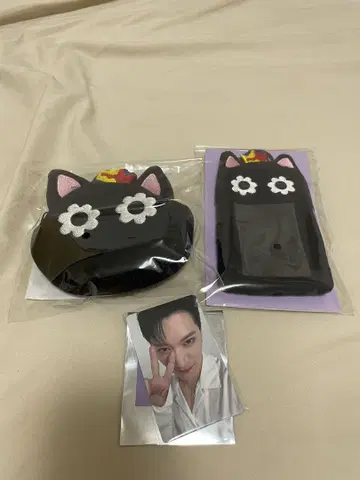 WayV 웨이션 V NCT 텐 TEN 카눌레 파우치 트레이딩 카드 케이스