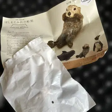 하시모토 미오 마린 월드 랏코 가챠