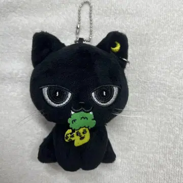 쿠이 야기 유세이