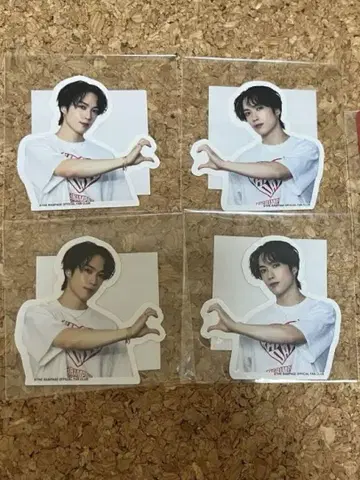 후지와라 이츠키 세트