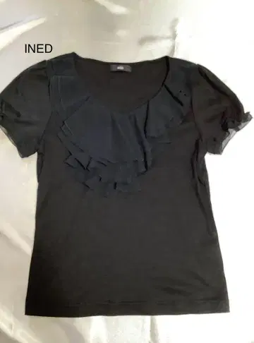 INED 상의