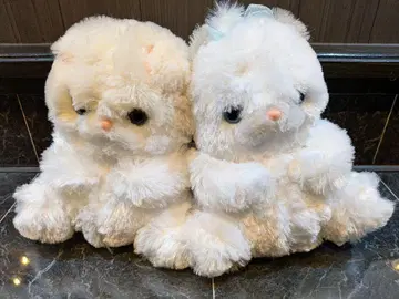 포챠네코마루 봉제 인형 2체 세트