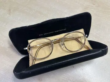 STEADY THE ORDINARY SPECTACLES