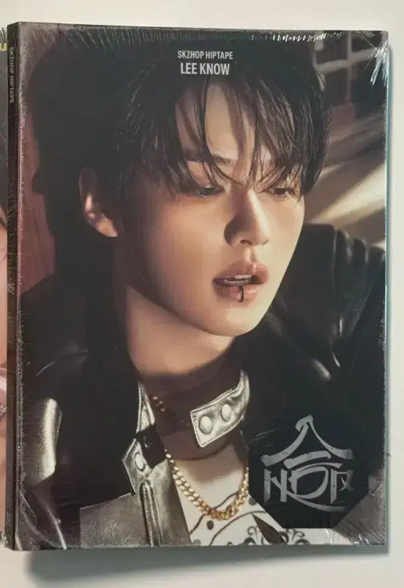 Stray Kids SKZ-REPLAY Karma Accordion Lee Know sealed