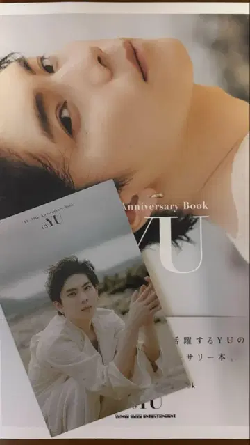 양우등 YU anniversary book vs YU