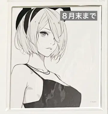 NieR NieR 오토마타 NieR 지울 수 없는 기록 색지 컬렉션 2B