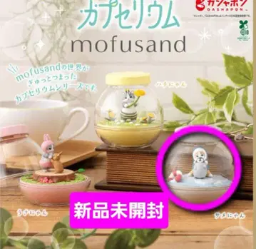 모프 샌드 카프세리움 상어냥