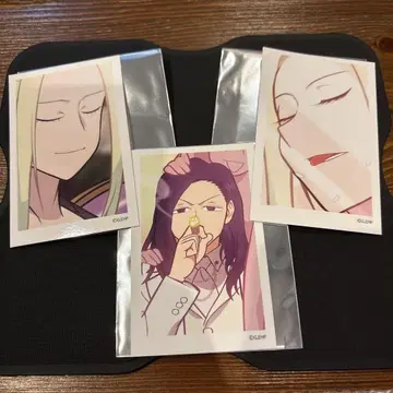 에브리데이 호스트 폴라로이드풍 카드 루이 신 세트 판매