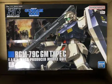 HG 짐