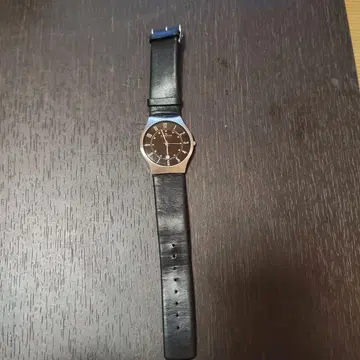 SKAGEN 시계